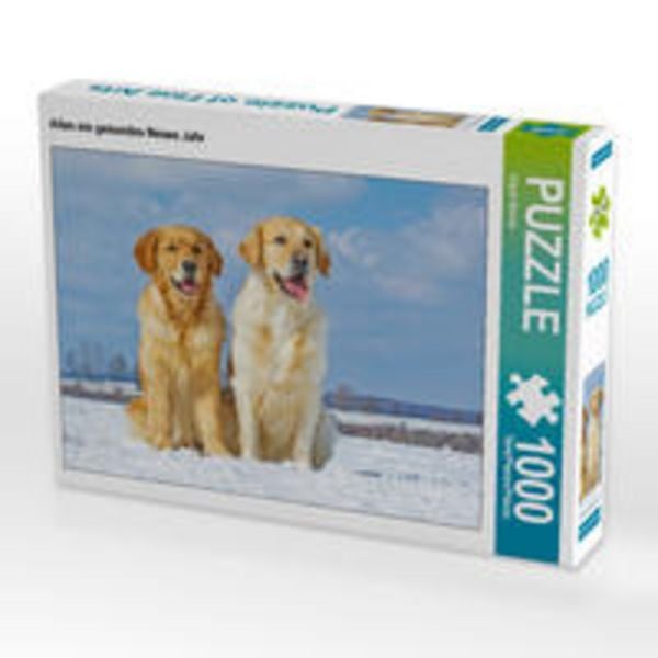 CALVENDO Puzzle Allen ein gesundes Neues Jahr | 1000 Teile Lege-Größe 64x48cm Foto-Puzzle für glückliche Stunden