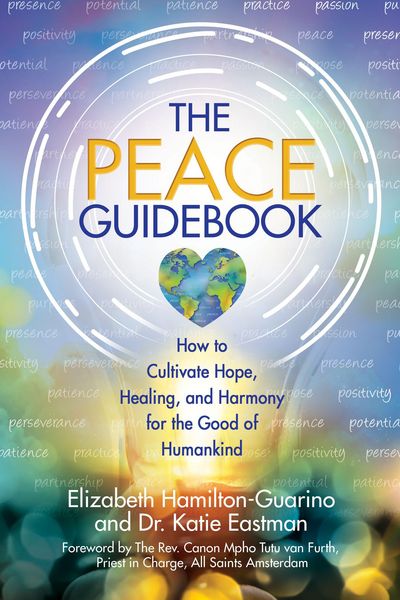 Produktbild: The Peace Guidebook