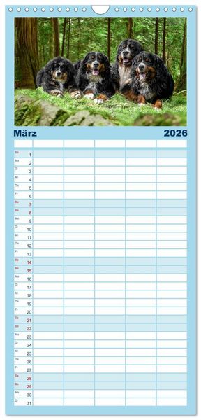 Produktbild: Familienplaner 2026 - Berner Sennenhunde - Faszinierende Herzensbrecher mit 5 Spalten (Wandkalender, 21 x 45 cm) CALVENDO