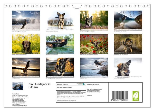 Produktbild: Ein Hundejahr in Bildern (Wandkalender 2026 DIN A4 quer), CALVENDO Monatskalender