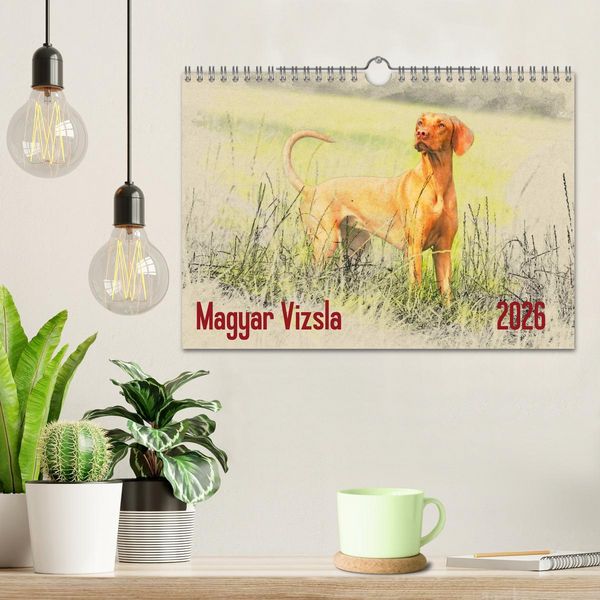 Produktbild: Magyar Vizsla 2026 (Wandkalender 2026 DIN A4 quer), CALVENDO Monatskalender