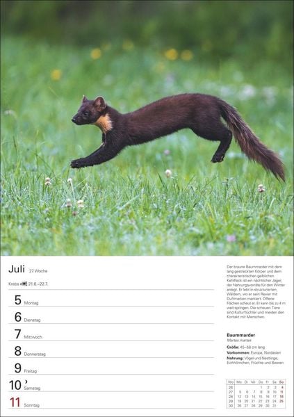 Produktbild: Heimische Tiere Wochenplaner 2027 - 53 faszinierende Fotografien