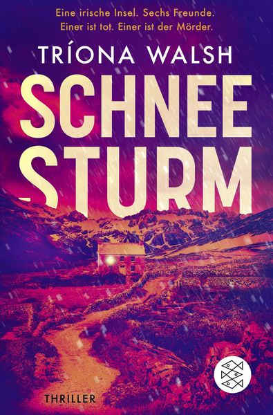 Produktbild: Schneesturm