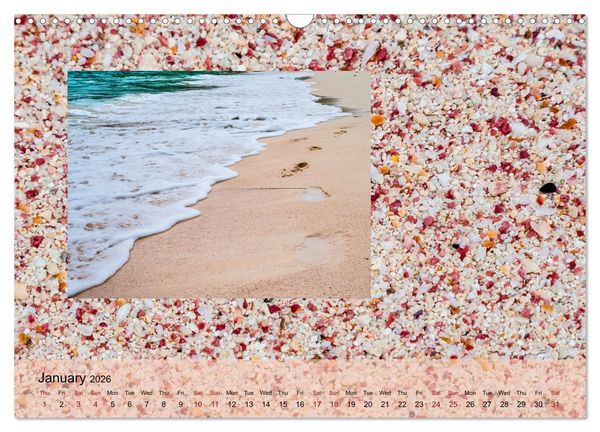 Produktbild: bermuda pink (Wall Calendar 2026 DIN A3 landscape), CALVENDO 12 Month Wall Calendar