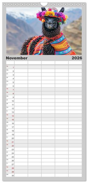 Produktbild: Familienplaner 2026 - Lamas auf Tour. Perus flauschige Fashion-Ikonen mit 5 Spalten (Wandkalender, 21 x 45 cm) CALVENDO