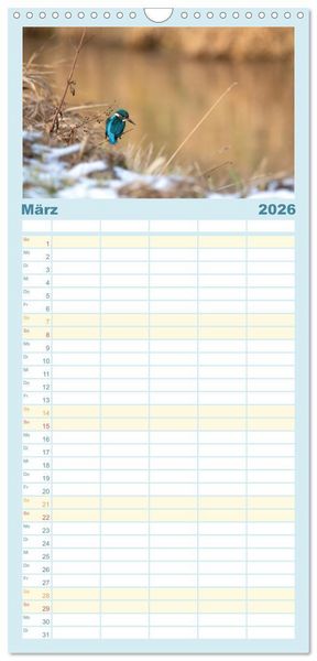 Produktbild: Familienplaner 2026 - Eisvogel im Portr&auml;t mit 5 Spalten (Wandkalender, 21 x 45 cm) CALVENDO