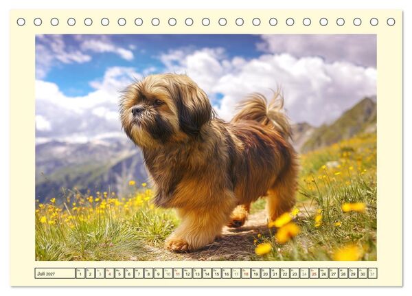 Produktbild: Lhasa Apso Charme. Die kleinen H&uuml;ter des Gl&uuml;cks (Tischkalender 2027 DIN A5 quer), CALVENDO Monatskalender