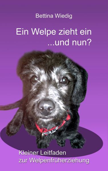 Produktbild: Ein Welpe zieht ein ... und nun?