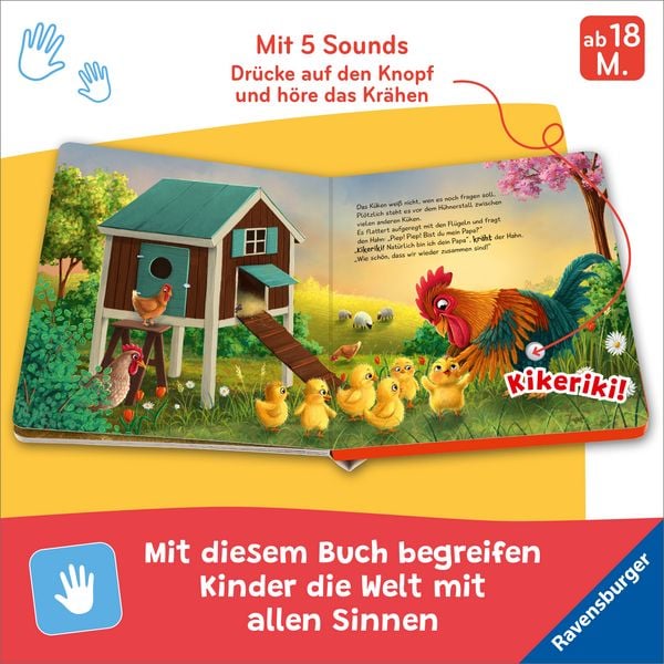 Produktbild: H&ouml;r mal hin - Piep! Piep! Bist du mein Papa?