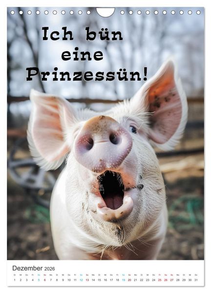 Produktbild: Lustige Tiere (Wandkalender 2026 DIN A4 hoch), CALVENDO Monatskalender
