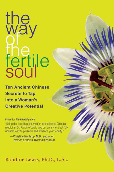 Produktbild: The Way of the Fertile Soul