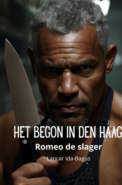 Produktbild: Het begon in Den Haag