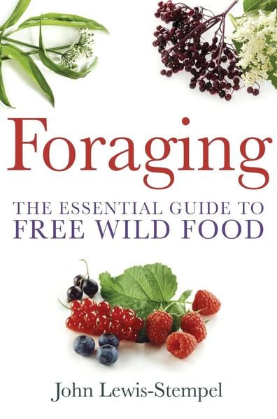 Produktbild: Foraging