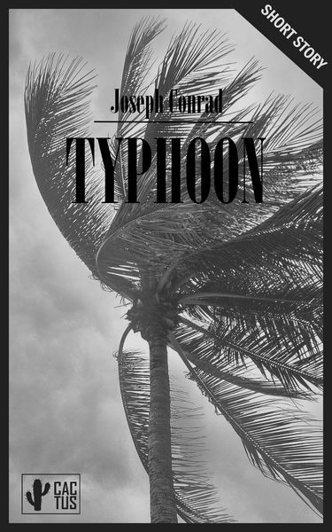 Produktbild: Typhoon