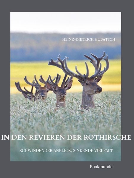 Produktbild: In den Revieren der Rothirsche