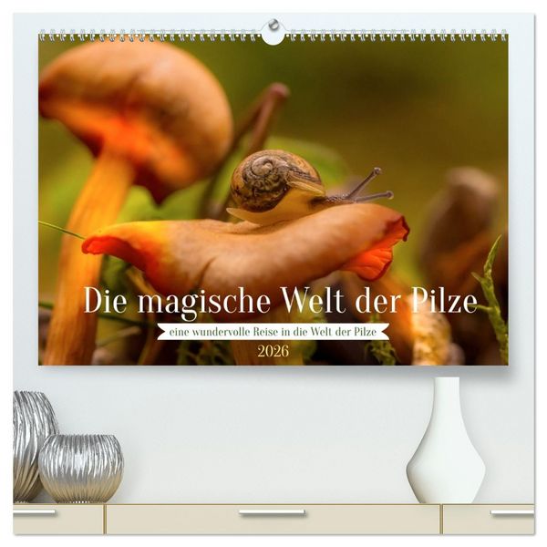 Die magische Welt der Pilze (hochwertiger Premium Wandkalender 2026 DIN A2 quer), Kunstdruck in Hochglanz