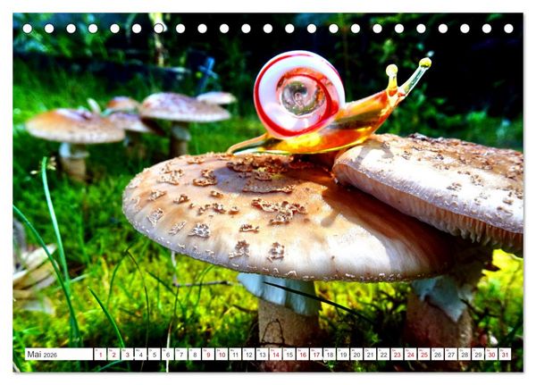 Produktbild: Pilz-Tiere (Tischkalender 2026 DIN A5 quer), CALVENDO Monatskalender