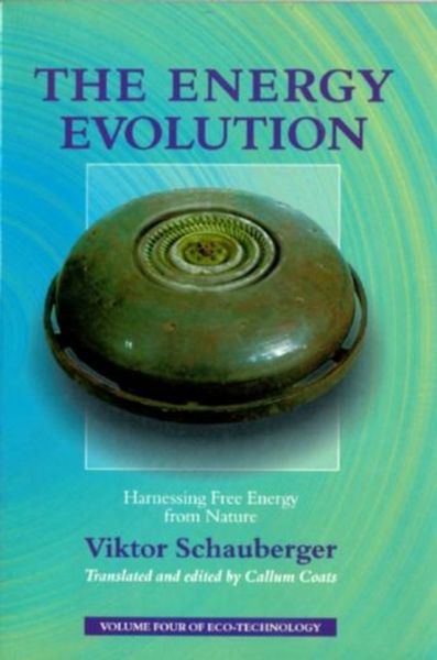 Produktbild: The Energy Evolution