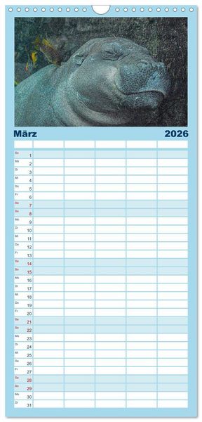 Produktbild: Familienplaner 2026 - Nilpferde, Kolosse in Afrika mit 5 Spalten (Wandkalender, 21 x 45 cm) CALVENDO