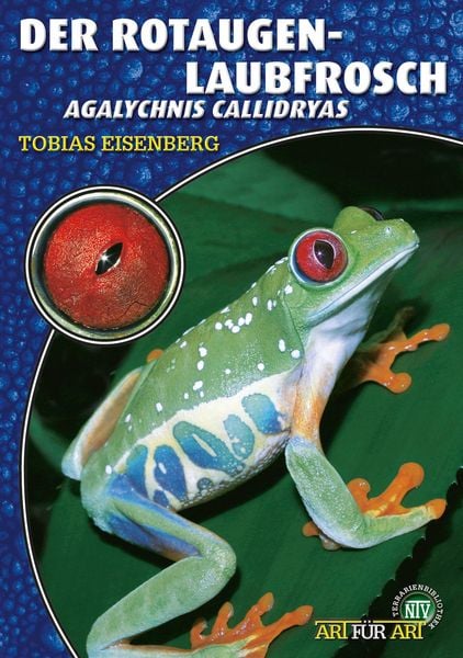Produktbild: Der Rotaugenlaubfrosch