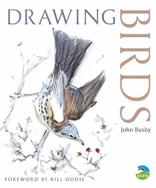 Produktbild: Drawing Birds