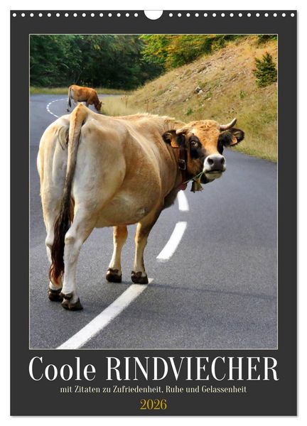 Produktbild: Coole Rindviecher (Wandkalender 2026 DIN A3 hoch), CALVENDO Monatskalender