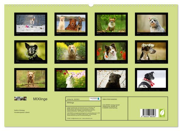 Produktbild: MIXlinge (hochwertiger Premium Wandkalender 2026 DIN A2 quer), Kunstdruck in Hochglanz