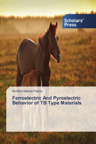 Produktbild: Ferroelectric And Pyroelectric Behavior of TB Type Materials