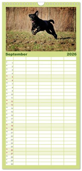 Produktbild: Familienplaner 2026 - Labrador Retriever mit 5 Spalten (Wandkalender, 21 x 45 cm) CALVENDO
