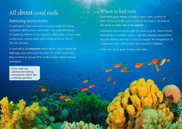 Produktbild: BIG CAT-CORAL REEFS