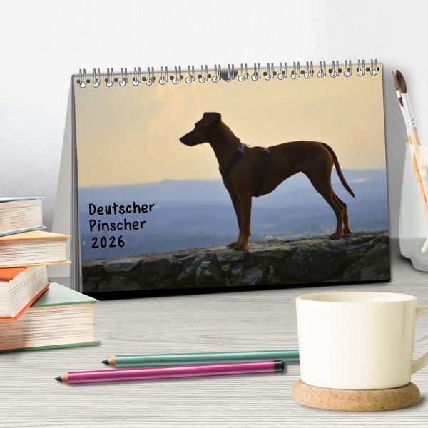 Produktbild: Deutscher Pinscher (Tischkalender 2026 DIN A5 quer), CALVENDO Monatskalender