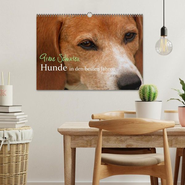 Produktbild: Graue Schnuten - Hunde in den besten Jahren (Wandkalender 2026 DIN A3 quer), CALVENDO Monatskalender