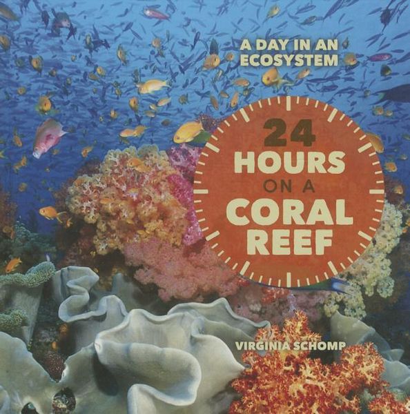 Produktbild: 24 Hours On a Coral Reef