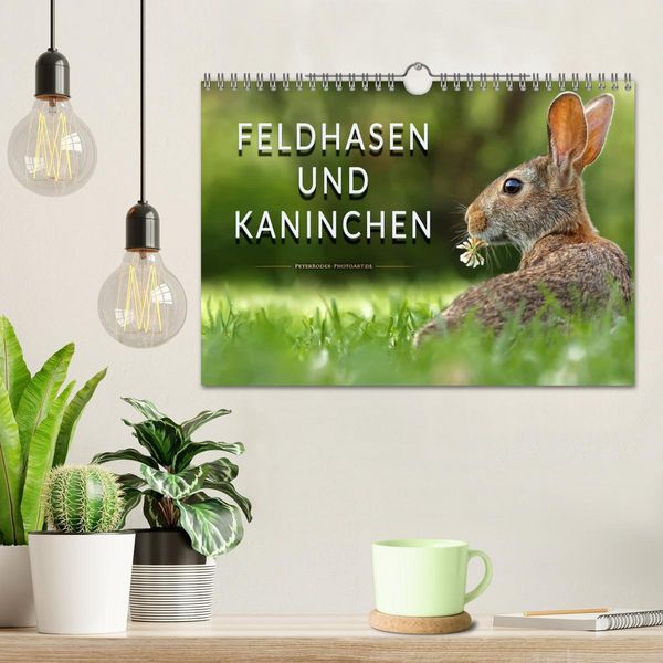Produktbild: Feldhasen und Kaninchen (Wandkalender 2026 DIN A4 quer), CALVENDO Monatskalender