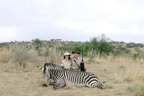 Produktbild: Safari