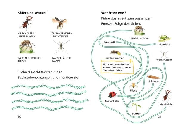 Produktbild: Lesen lernen mit Naturr&auml;tseln, B&uuml;cherhelden 2. Klasse, Insekten & Spinnen
