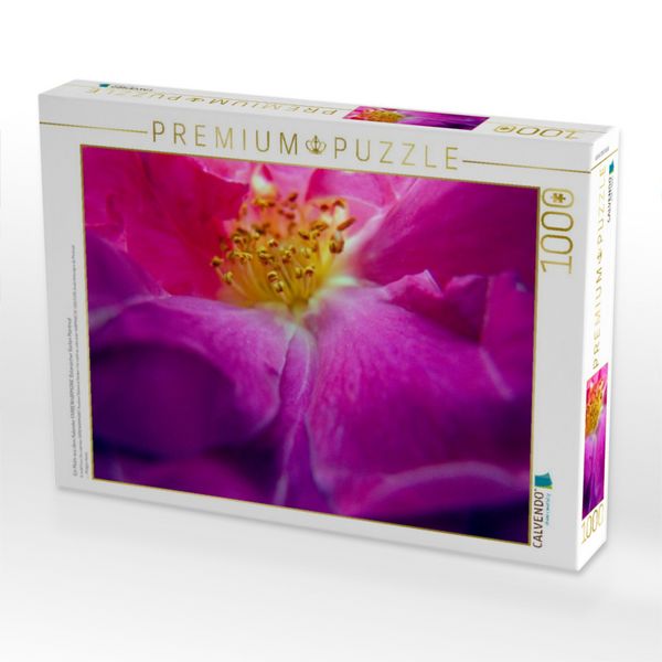 Produktbild: CALVENDO Puzzle Ein Motiv aus dem Kalender FARBENHARMONIE Botanischer Garten Montreal | 1000 Teile Lege-Gr&ouml;&szlig;e 64x48cm Foto-Puzzle f&uuml;r gl&uuml;ckliche Stunden