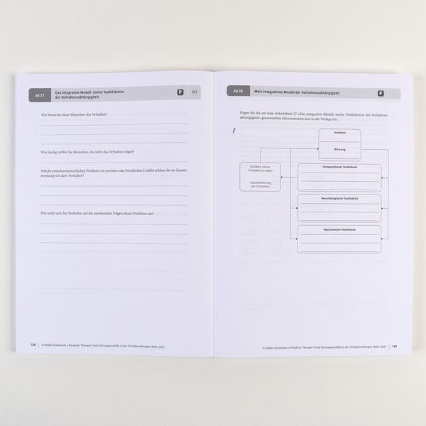 Produktbild: Therapie-Tools St&ouml;rungsmodelle in der Verhaltenstherapie