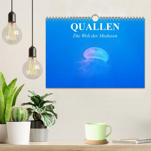Produktbild: Quallen. Die Welt der Medusen (Wandkalender 2026 DIN A4 quer), CALVENDO Monatskalender