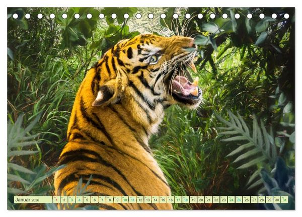 Produktbild: Hallo Dschungel - Artwork (Tischkalender 2026 DIN A5 quer), CALVENDO Monatskalender