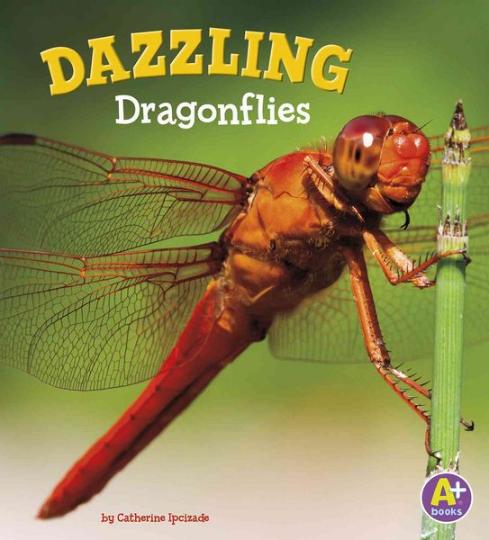 Produktbild: Dazzling Dragonflies