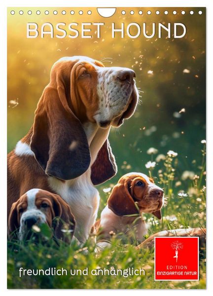 Produktbild: Basset Hound - freundlich und anh&auml;nglich (Wandkalender 2026 DIN A4 hoch), CALVENDO Monatskalender