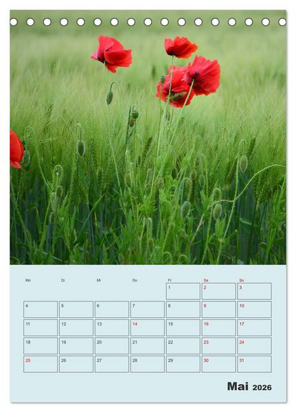 Produktbild: Moin Heiligenhafen (Tischkalender 2026 DIN A5 hoch), CALVENDO Monatskalender