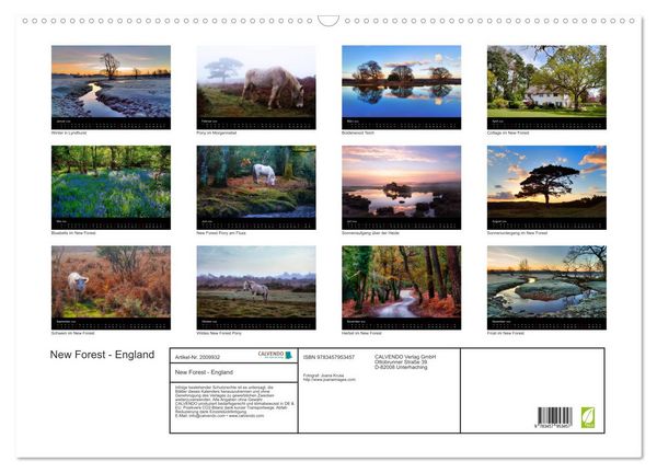 Produktbild: New Forest - England (Wandkalender 2026 DIN A2 quer), CALVENDO Monatskalender
