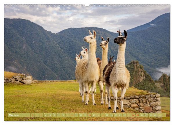 Produktbild: Peru - Bunte Vielfalt von Machu Picchu bis zur Atacama W&uuml;ste (Wandkalender 2026 DIN A2 quer), CALVENDO Monatskalender