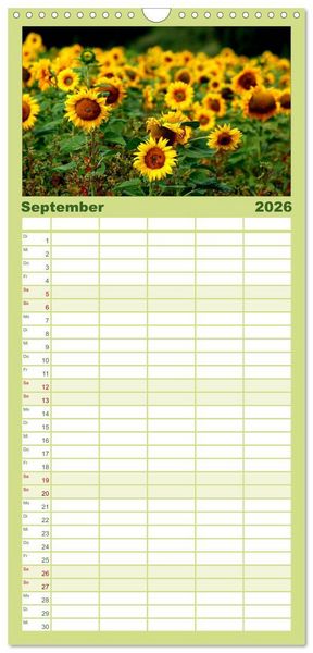 Produktbild: Familienplaner 2026 - Sonnenblumen mit 5 Spalten (Wandkalender, 21 x 45 cm) CALVENDO