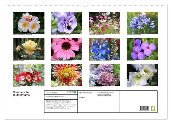 Produktbild: Sommerliche Bl&uuml;tentr&auml;ume (Wandkalender 2026 DIN A2 quer), CALVENDO Monatskalender