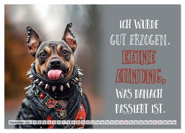 Produktbild: Wuffige Geburtstagsgr&uuml;&szlig;e SPR&Uuml;CHE ZUM &Auml;LTERWERDEN (Wandkalender 2026 DIN A2 quer), CALVENDO Monatskalender