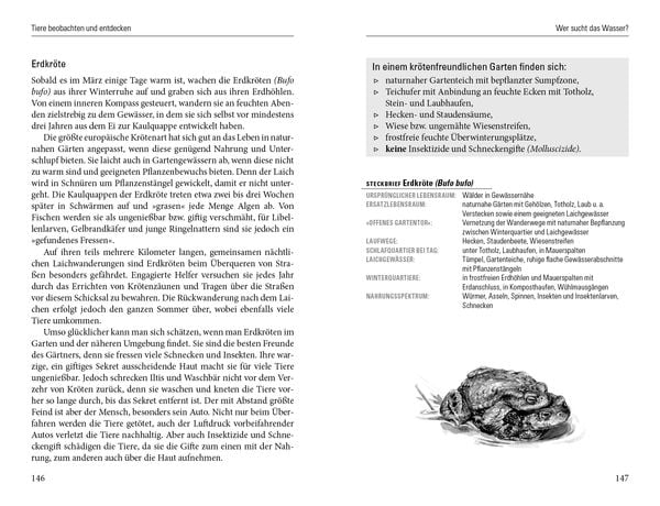 Produktbild: Nachts in meinem Garten