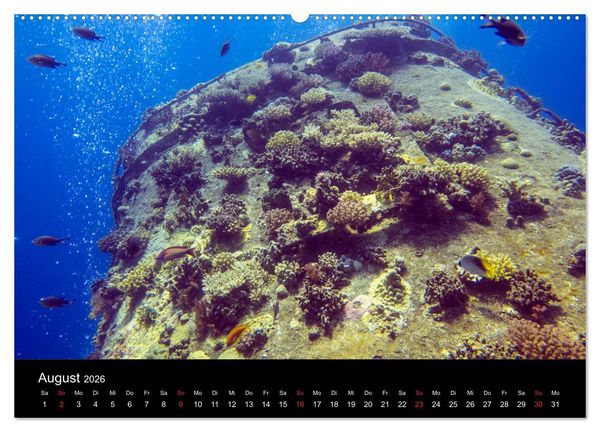 Produktbild: Abu Nuhas - Wracks im Roten Meer (hochwertiger Premium Wandkalender 2026 DIN A2 quer), Kunstdruck in Hochglanz